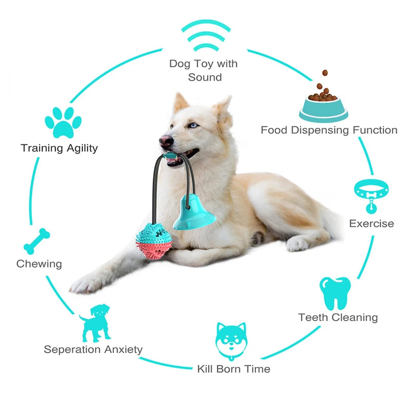 Grande cão interativo bola brinquedos, ventosa, cordas, vazamento, alimentador lento, mastigar brinquedo, dentição, limpo, Golden retriever, Big Pet suprimentos